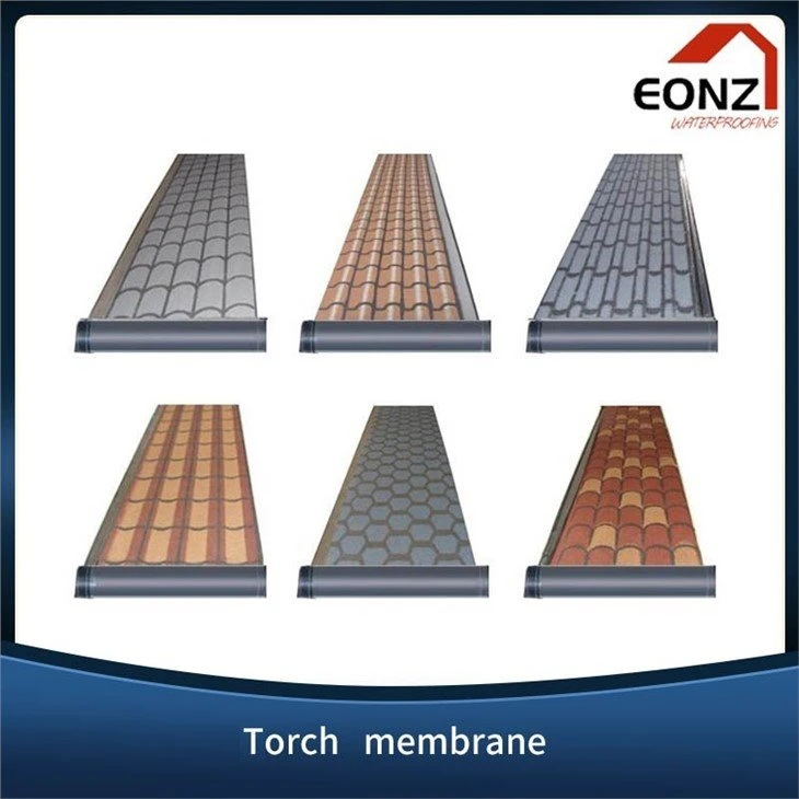 Torch membrane 2(001)